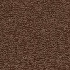 VonRyan PWR Recliner/ADJ Headrest