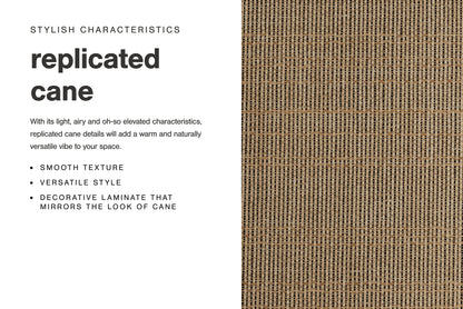 Cielden Queen Panel Bed with Mirrored Dresser